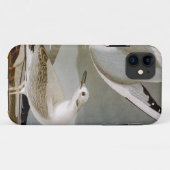 Audubon: Bonaparteのカモメ Case-Mate iPhoneケース (裏面(横))