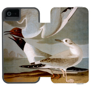 Audubon: Bonaparteのカモメ iPhone SE/5/5sウォレットケース
