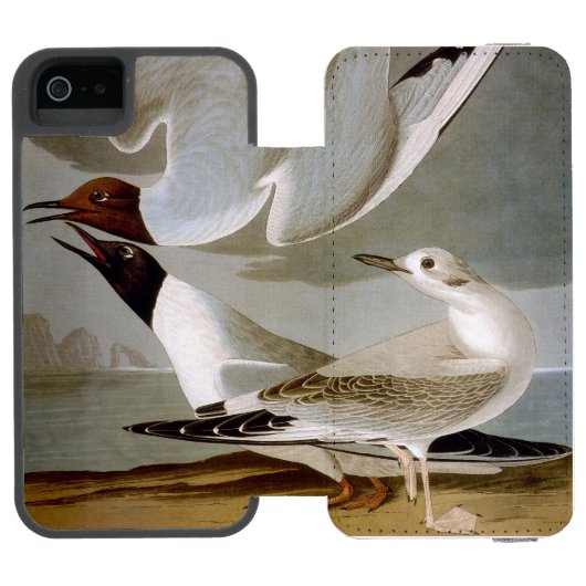 Audubon: Bonaparteのカモメ Incipio iPhoneウォレットケース (フォリオ Open)