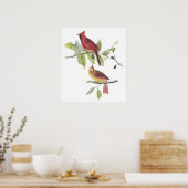 Audubon Cardinal Poster ポスター (キッチン)