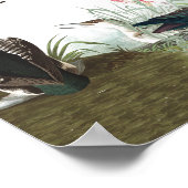 Audubon Collage Birds Animal Wildlifeポスター1 ポスター (角)