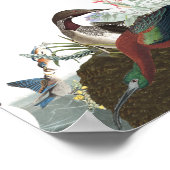 Audubon Collage Birds Animal Wildlife Poster 2 ポスター (角)