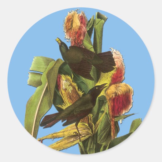 Audubon Common Grackle Bird Artスタンプ ラウンドシール (正面)