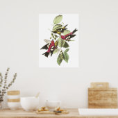 Audubon Crossbillポスター ポスター (キッチン)