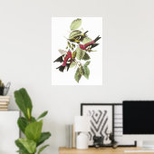 Audubon Crossbillポスター ポスター (ホームオフィス)