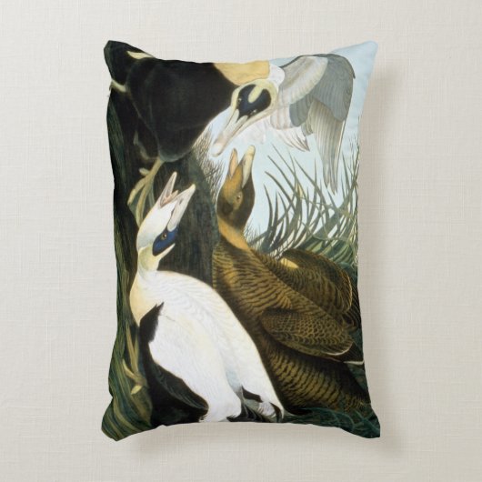 Audubon: Eiderアヒル アクセントクッション (正面(垂直))