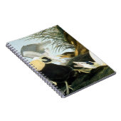 Audubon: Eiderアヒル ノートブック (右側)