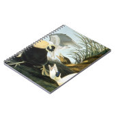 Audubon: Eiderアヒル ノートブック (左側)