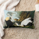 Audubon: Eiderアヒル ランバークッション (ブランケット)