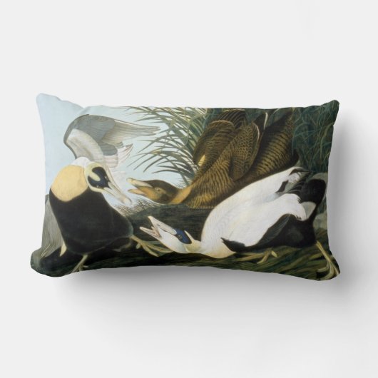 Audubon: Eiderアヒル ランバークッション (正面)
