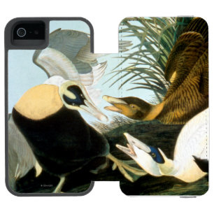 Audubon: Eiderアヒル iPhone SE/5/5sウォレットケース