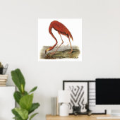 Audubon Flamingo Poster ポスター (ホームオフィス)
