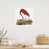 Audubon Flamingo Poster ポスター (キッチン)