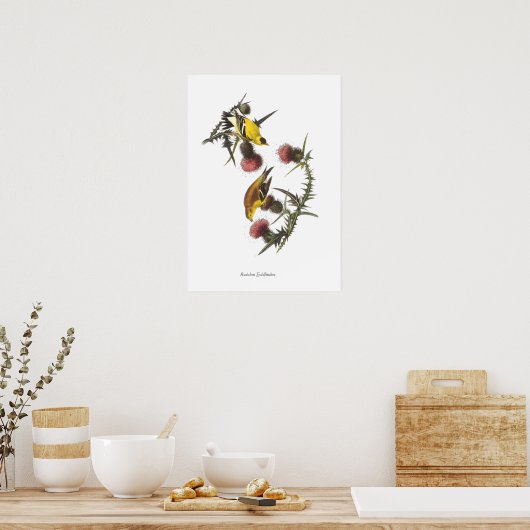 Audubon Goldfinches Bird Poster ポスター (キッチン)