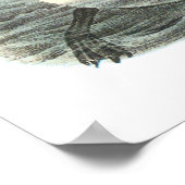 Audubon Great Auk Poster ポスター (角)