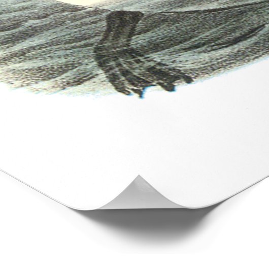 Audubon Great Auk Poster ポスター (角)