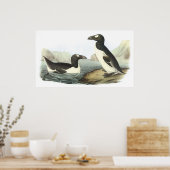 Audubon Great Auk Poster ポスター (キッチン)