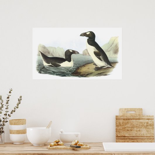 Audubon Great Auk Poster ポスター (キッチン)