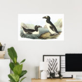 Audubon Great Auk Poster ポスター (ホームオフィス)