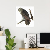 Audubon Great Gray Owl Poster or Print ポスター (ホームオフィス)