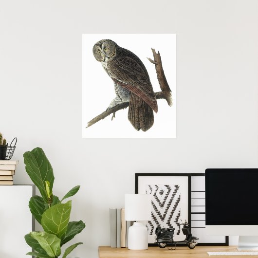 Audubon Great Gray Owl Poster or Print ポスター (ホームオフィス)