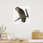 Audubon Great Gray Owl Poster or Print ポスター (キッチン)