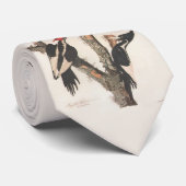 Audubon Ivory-Billed Woodpecker ネクタイ (ロール)