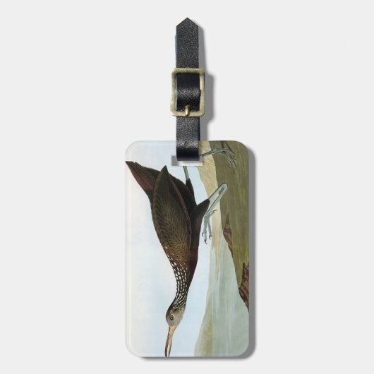 Audubon: Limpkin ラゲッジタグ (正面縦)