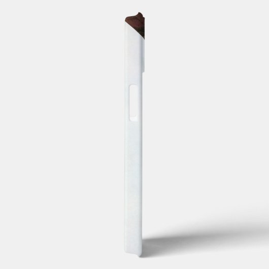 Audubon: Limpkin Case-Mate iPhoneケース (裏面 / 右)