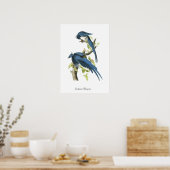 Audubon Magpies Bird Poster ポスター (キッチン)