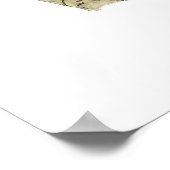 Audubon Magpies Bird Poster ポスター (角)