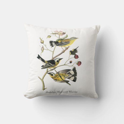 Audubon Marigold Warblelr Pillow クッション (正面)