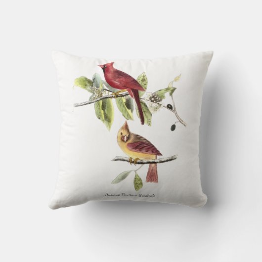 Audubon Northerm Cardinals Pillow クッション (裏面)