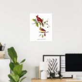 Audubon Northern Cardinals Poster ポスター (ホームオフィス)