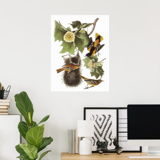 Audubon Oriole Poster ポスター (ホームオフィス)