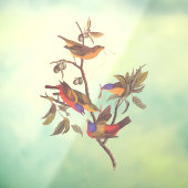 Audubon Painted Bunting Birds is Wild Plum Tree ウィンドウサイン (シート3)