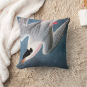 Audubon: Roseateアジサシ クッション (ブランケット)