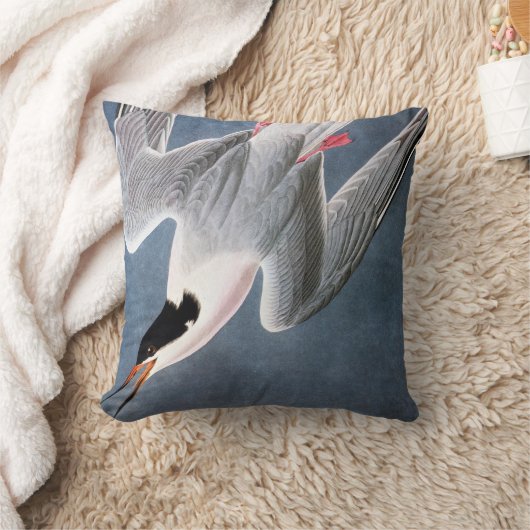 Audubon: Roseateアジサシ クッション (ブランケット)