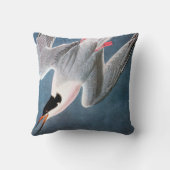 Audubon: Roseateアジサシ クッション (裏面)