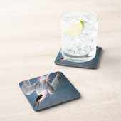 Audubon: Roseateアジサシ コースター (右側)