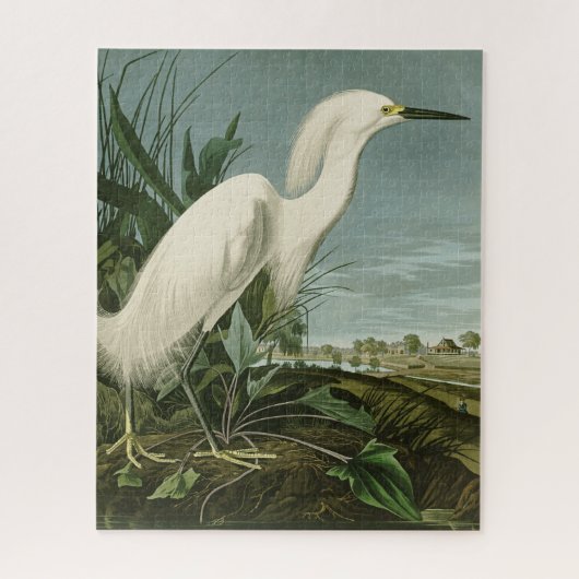 Audubon Snowy Heron White Egret Bird Birding ジグソーパズル (縦)