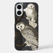 Audubon Snowy Owl Bird Artwork Case-Mate iPhoneケース (裏面)