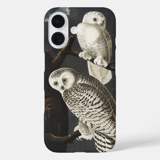Audubon Snowy Owl Bird Artwork Case-Mate iPhoneケース (裏面)