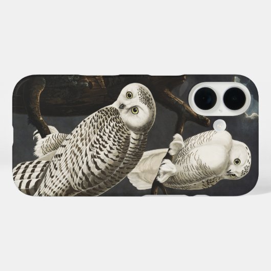 Audubon Snowy Owl Bird Artwork Case-Mate iPhoneケース (裏面 (横))