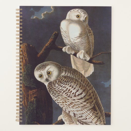 Audubon Snowy White Owls on a Dark Cloudy Night プランナー手帳 (正面)
