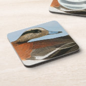 Audubon: Wigeon コースター (左側)