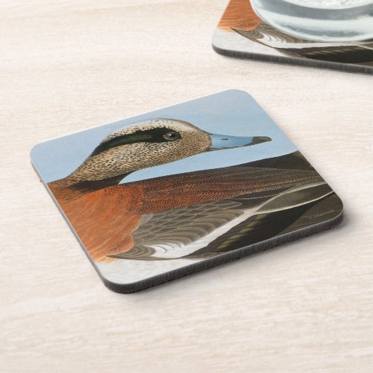 Audubon: Wigeon コースター (左側)