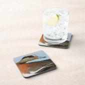 Audubon: Wigeon コースター (右側)