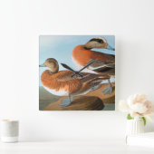 Audubon: Wigeon スクエア壁時計 (ホーム)