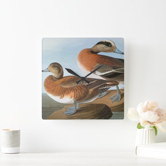 Audubon: Wigeon スクエア壁時計 (ホーム)